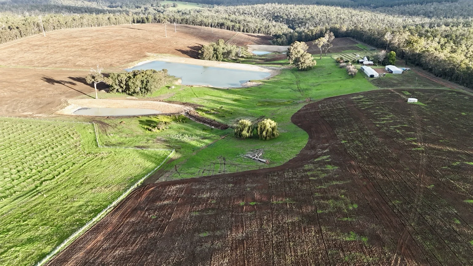Aerial view of Haiku Hills farm, dams and truffle plantings near Manjimup