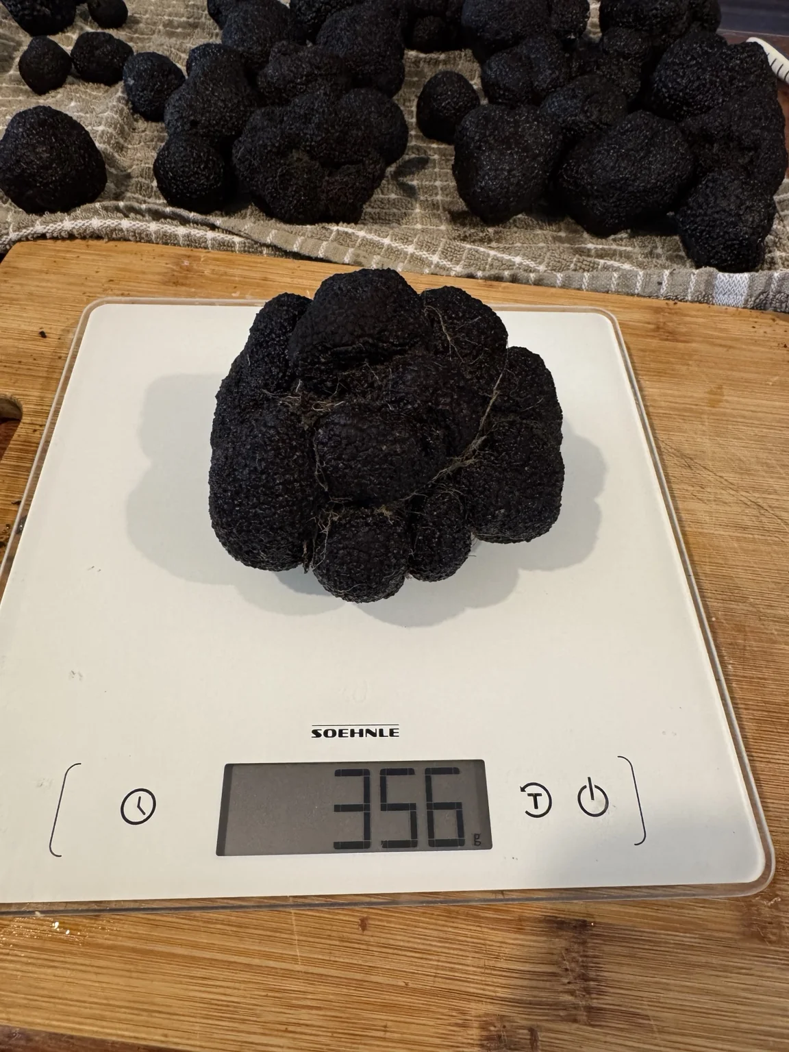 A 356 gram black truffle from Haiku Hills on a scale