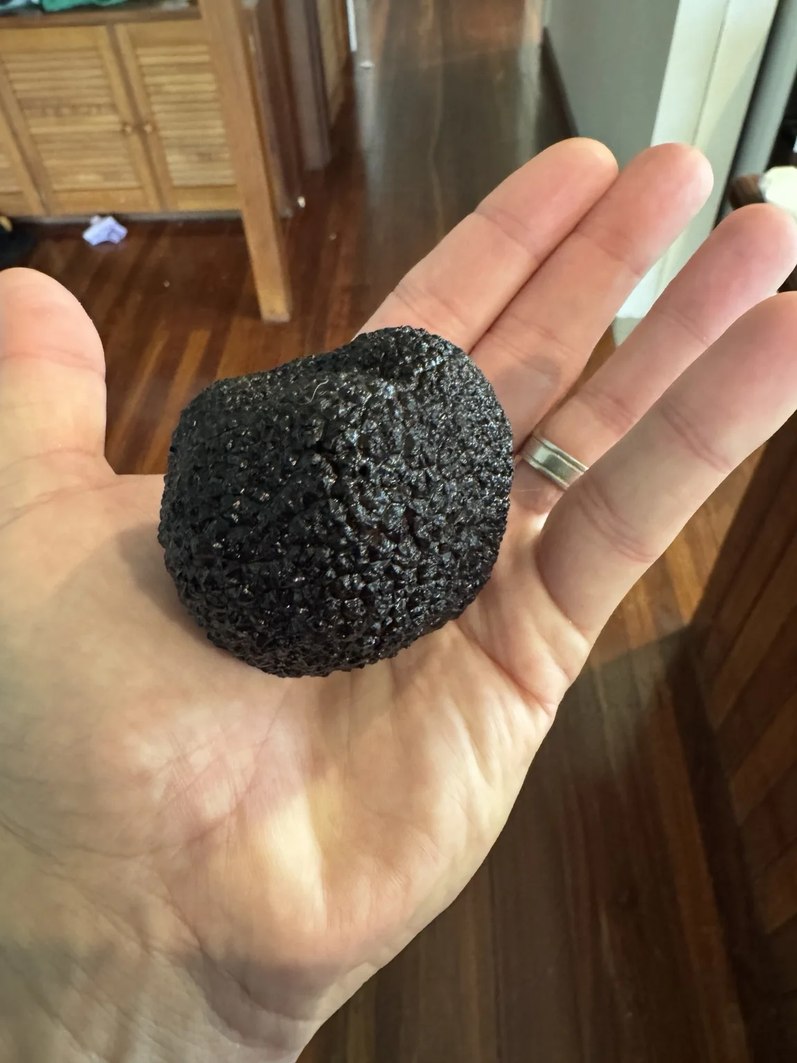 Clean black winter truffle showing its firm, textured peridium