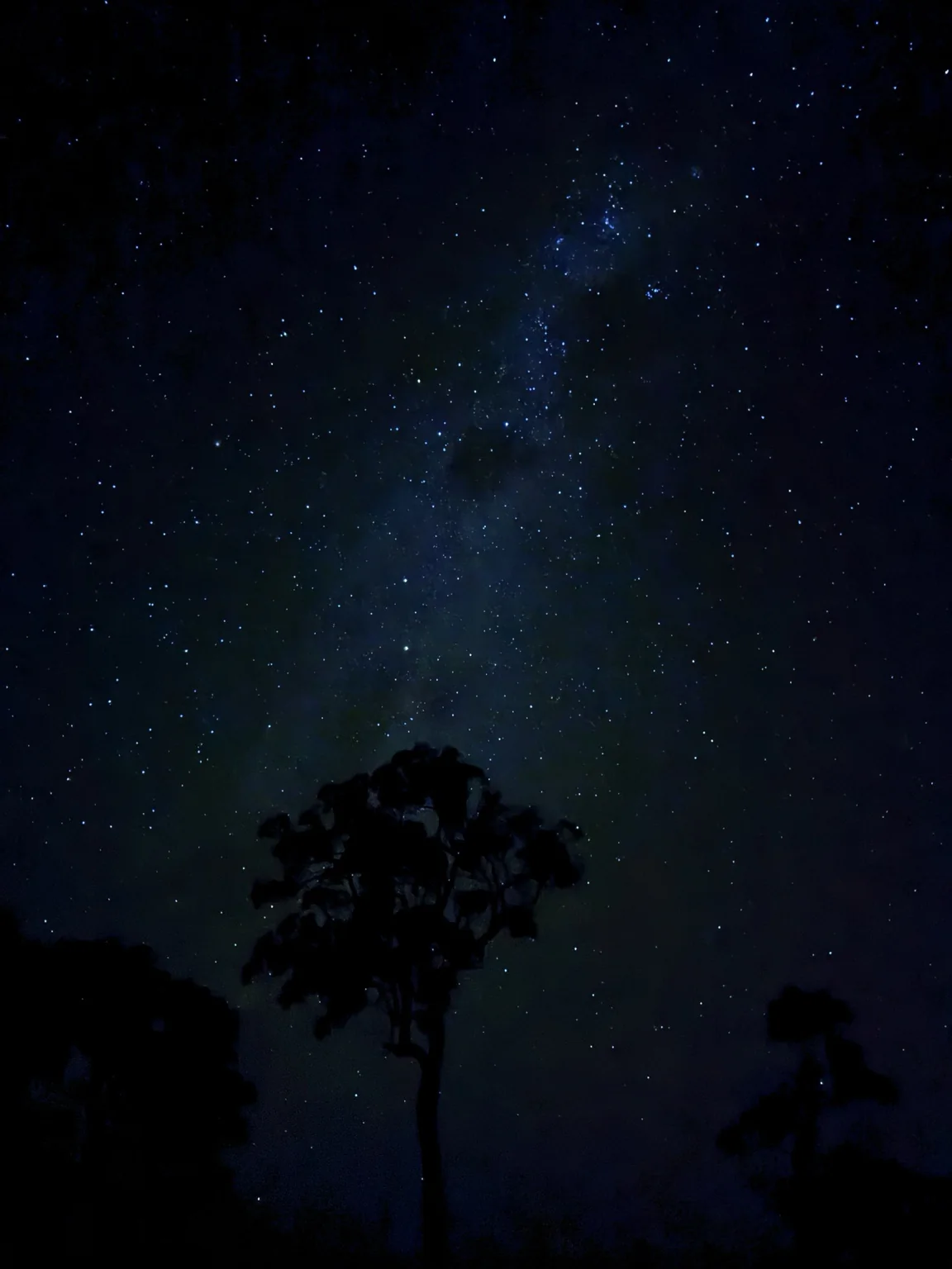 Night sky over Haiku Hills